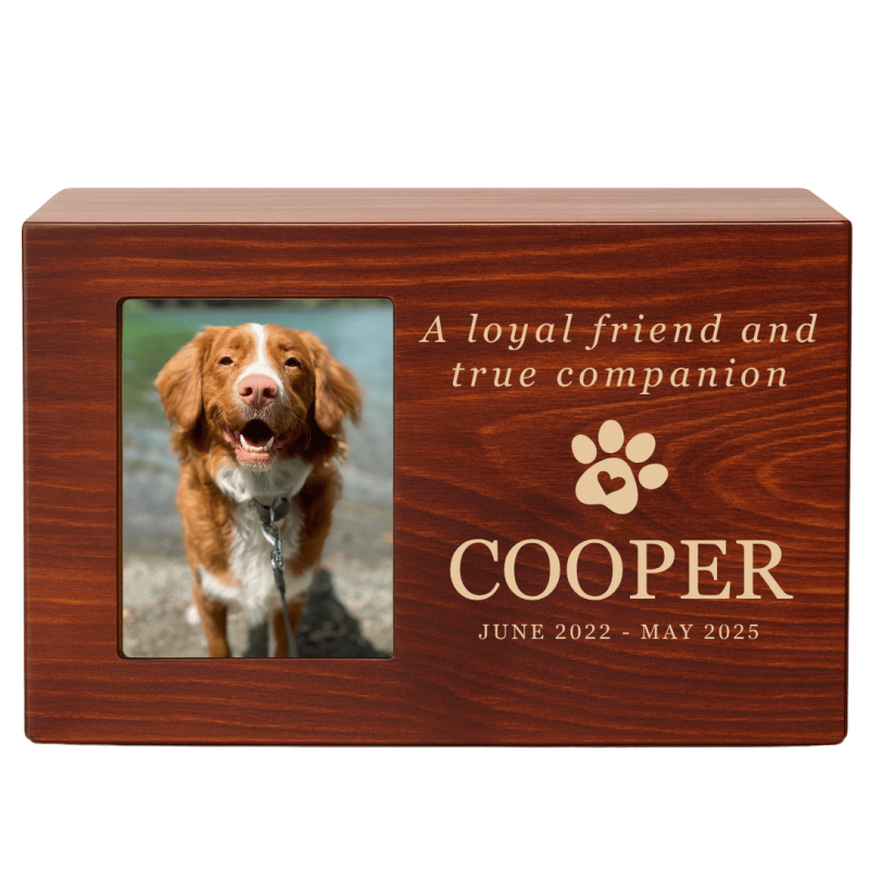 Urne funéraire pour chien en bois personnalisée​ avec photo – Coffret souvenir pour cendres avec nom, dates & message gravés