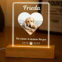 Personalisierte Gedenkleuchte mit Foto – Rechteckige LED-Gedenktafel für Hunde aus Acryl mit graviertem Namen & Daten