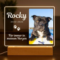 Personalisierte Gedenkleuchte mit Foto – Rechteckige LED-Gedenktafel für Hunde aus Acryl mit graviertem Namen & Daten