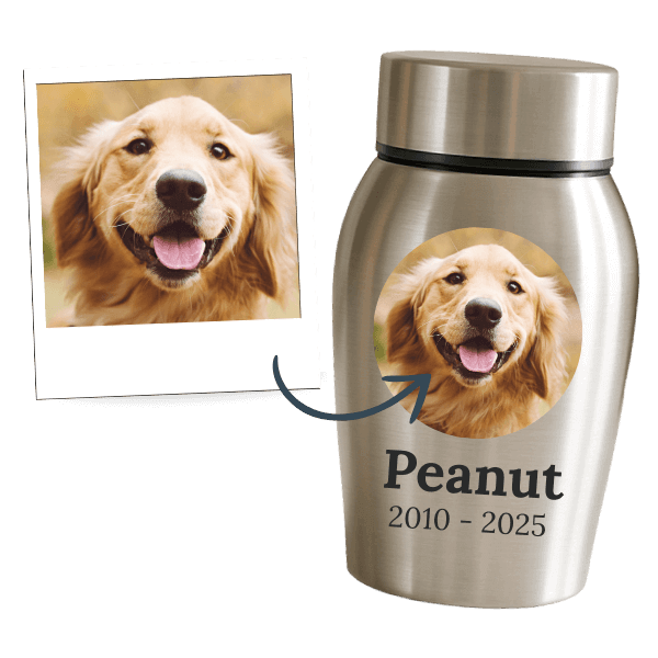 Personalisierte Hundeurnen